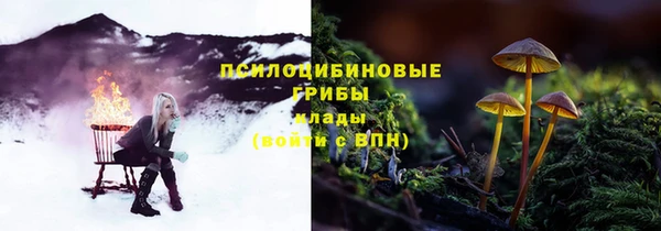 ALPHA PVP Карталы