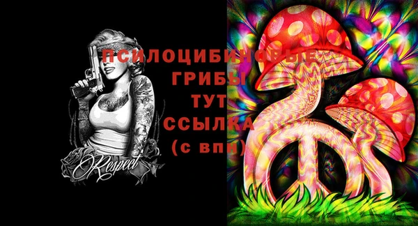 экстази Осташков