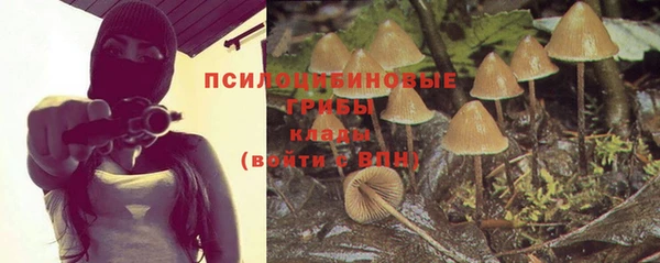 героин Карпинск
